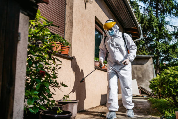 Best Emergency Pest Control  in Warrenvle, IL
