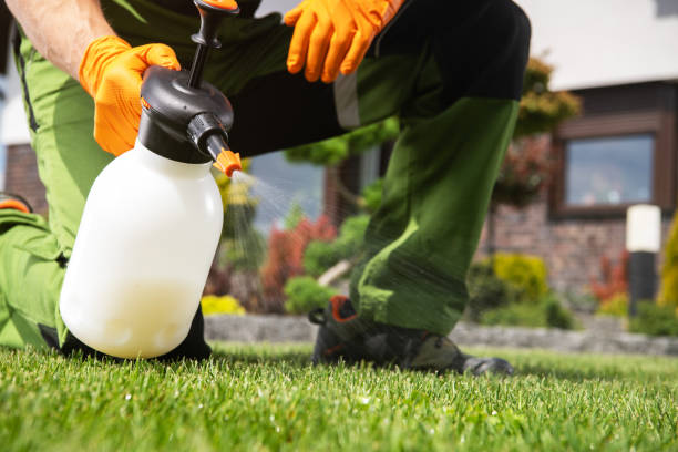Best Rodent Control Near Me  in Warrenvle, IL