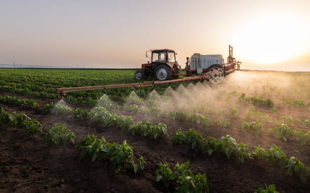 Pest Prevention Services in Warrenville, IL