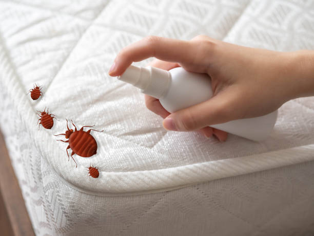 Best Exterminator Services  in Warrenvle, IL