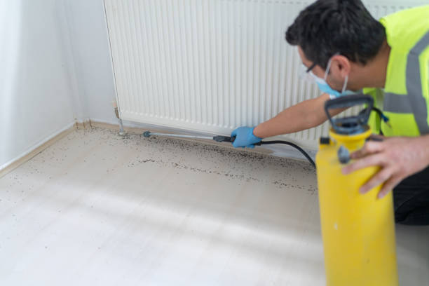 Best Best Pest Control Near Me  in Warrenvle, IL
