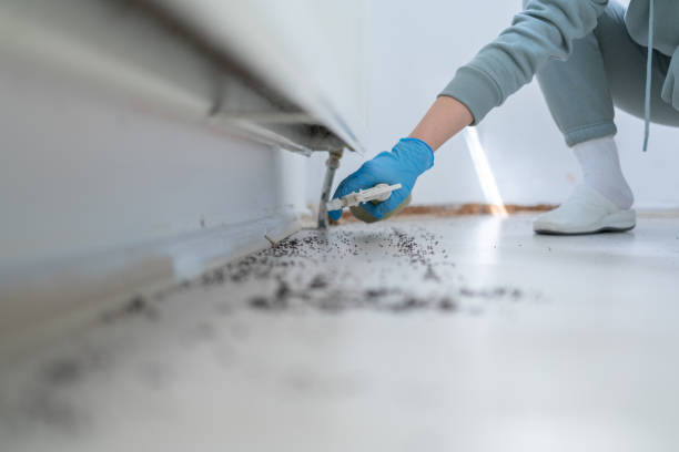 Best Affordable Pest Control Services  in Warrenvle, IL