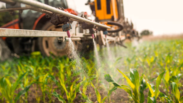 Best Pest Control Near Me  in Warrenvle, IL